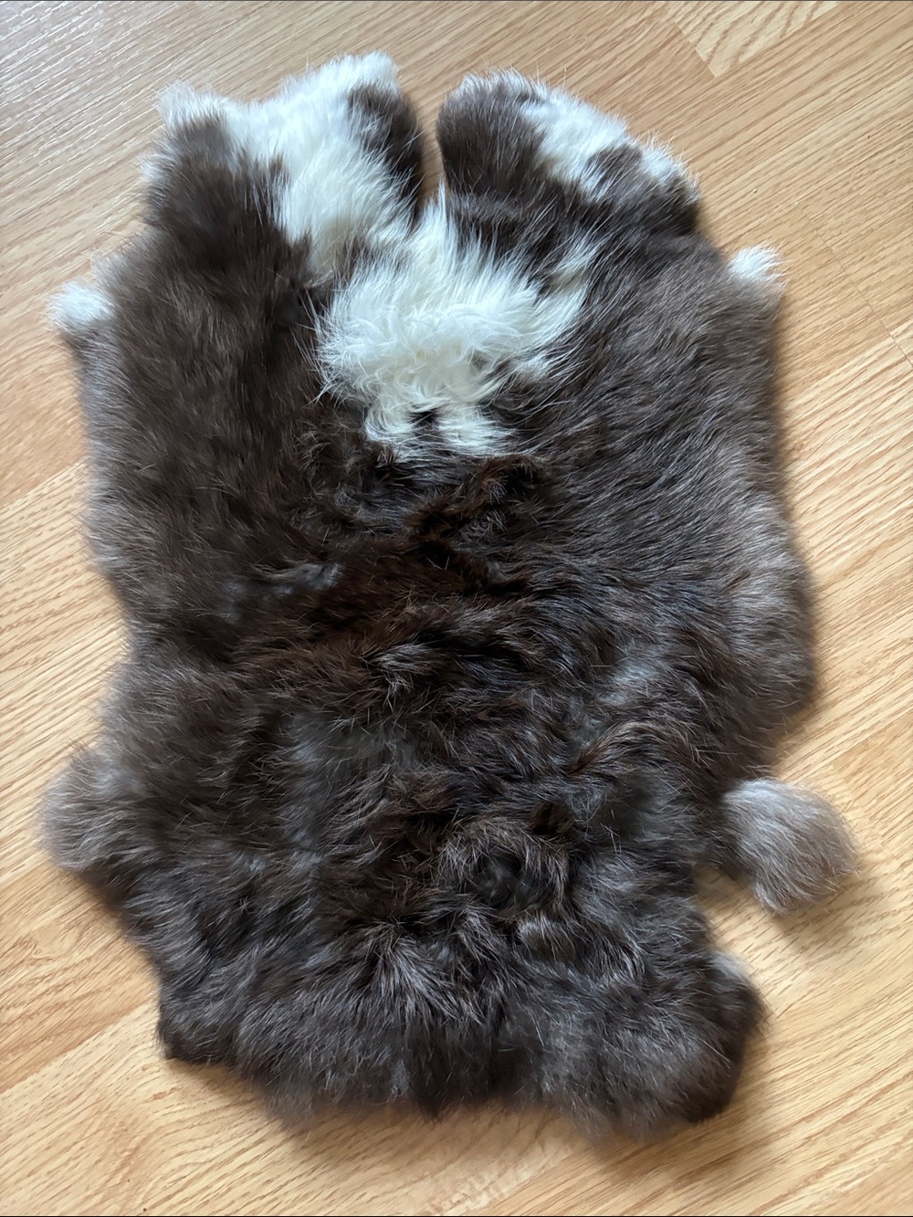 B0247 rabbit pelt